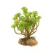 ZooMed Tree Houseleek plante 