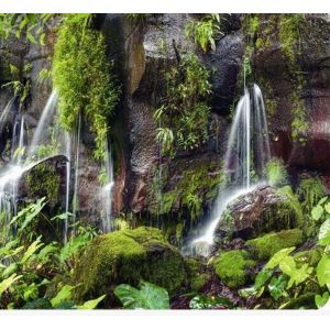 Reptiles planet waterfall baggrund 70 cm høj